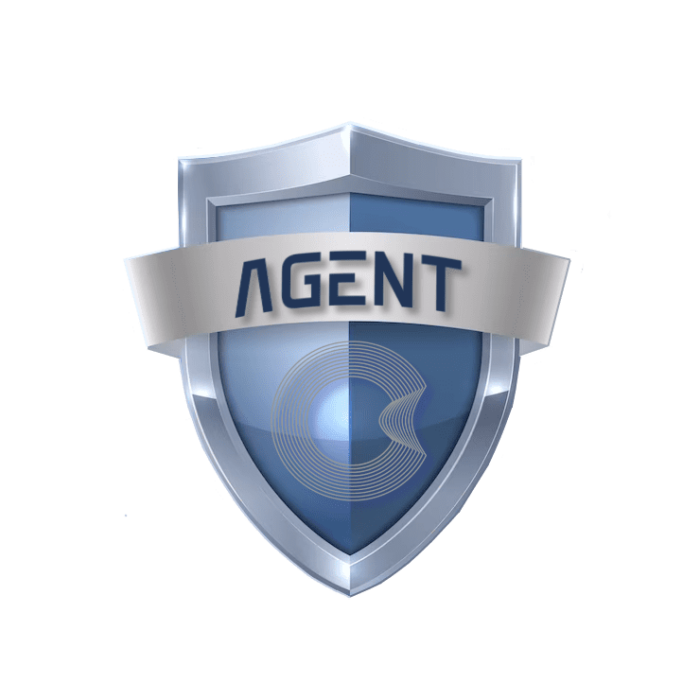 Agent 01